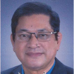 Ragebul Ahsan Ripu