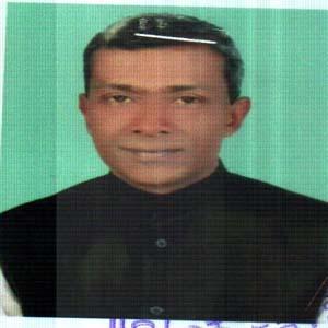 S M Brahani Sultan Mahmud