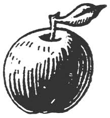 Insaniyat Biplob Bangladesh