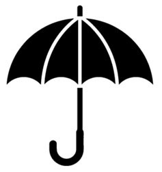 Liberal Democratic Party (LDP)