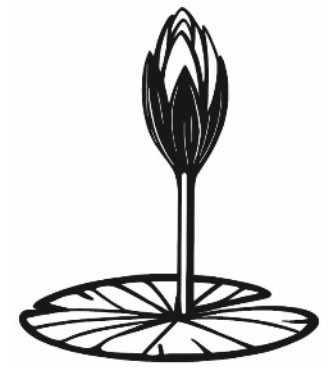 National Citizen Party (NCP)